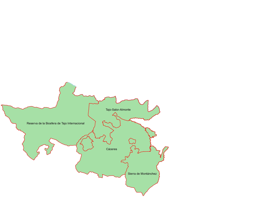 Suroeste